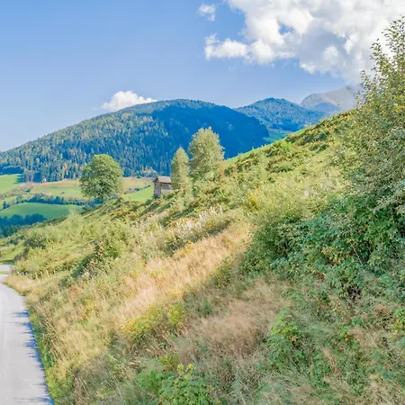 Blick Ins Salzachtal Mittersill
