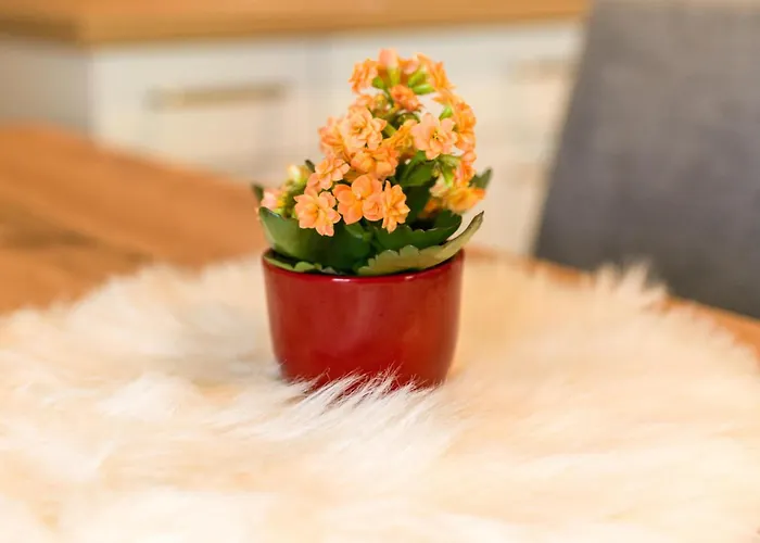 Appartamento Blick Ins Salzachtal Mittersill