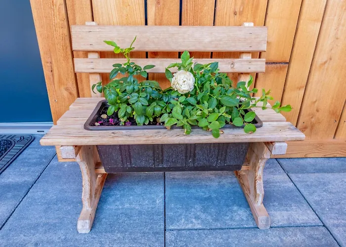 Blick Ins Salzachtal * Mittersill